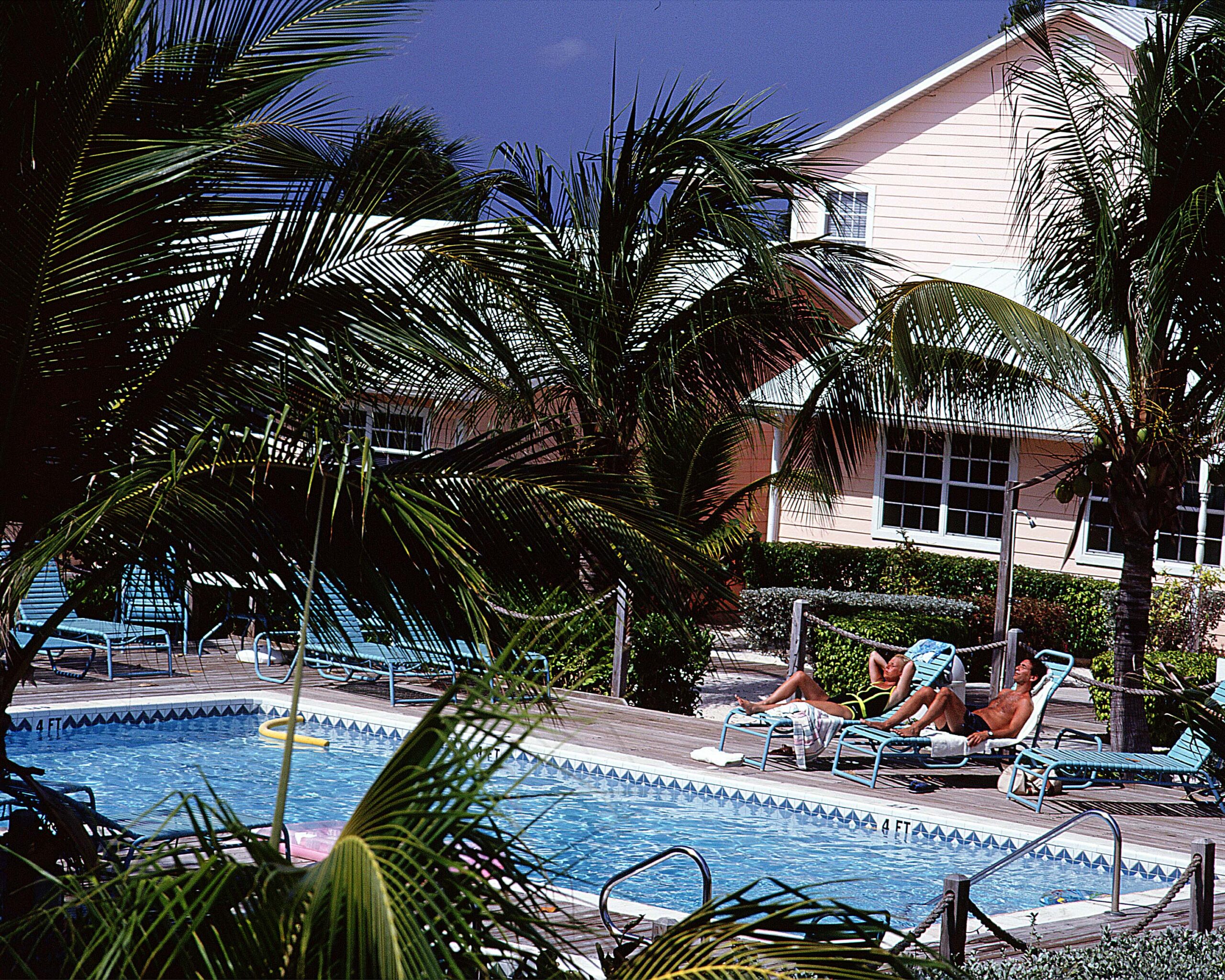 Reef Divers Little Cayman Beach Resort Oyster Diving Trips