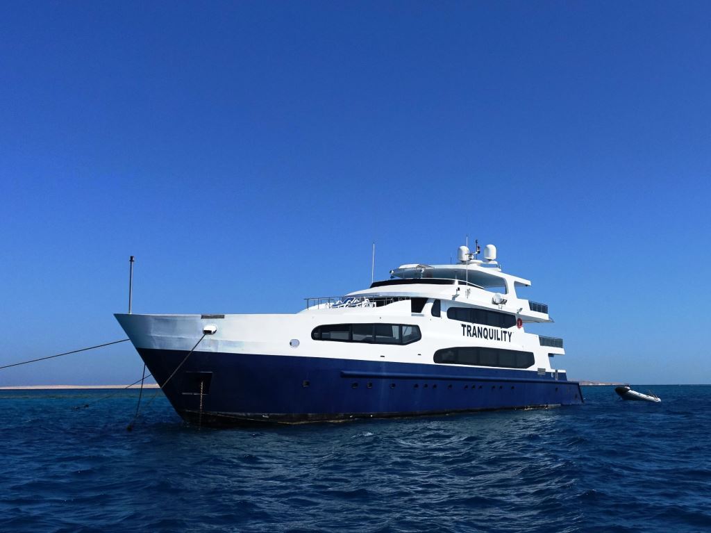 Tranquility, Red Sea - Oyster Diving