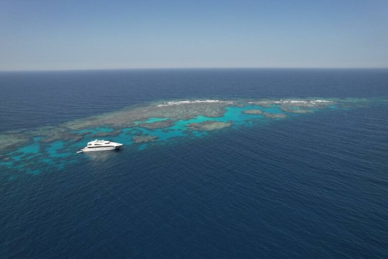 scuba diving holidays