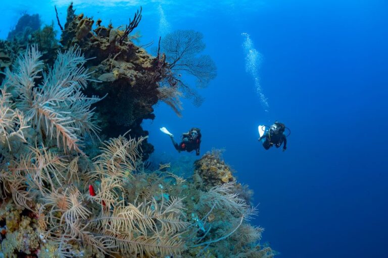 scuba diving courses holidays club london