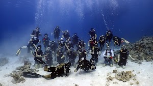 Oyster Diving place picture