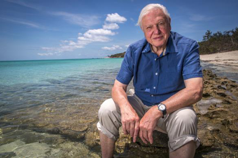 Celebrating David Attenborough: Ocean Advocate and National Treasure