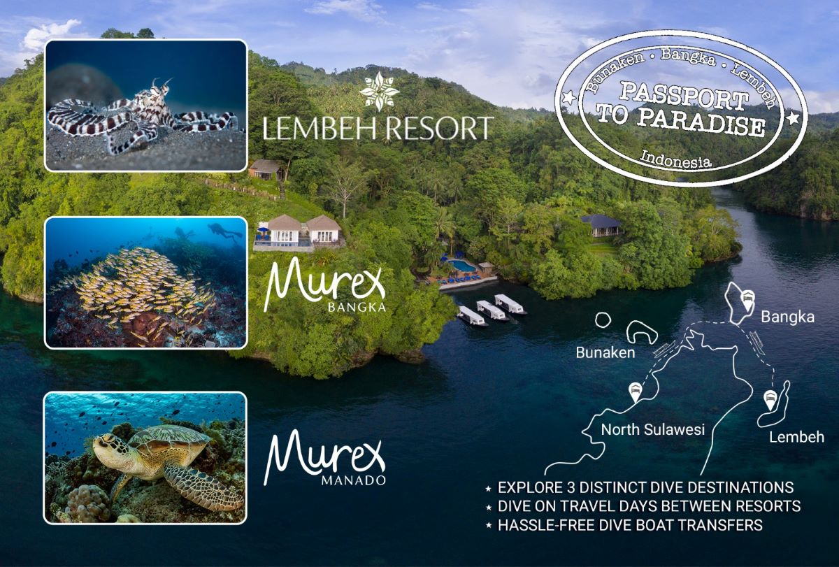 passport to paradise indonesia