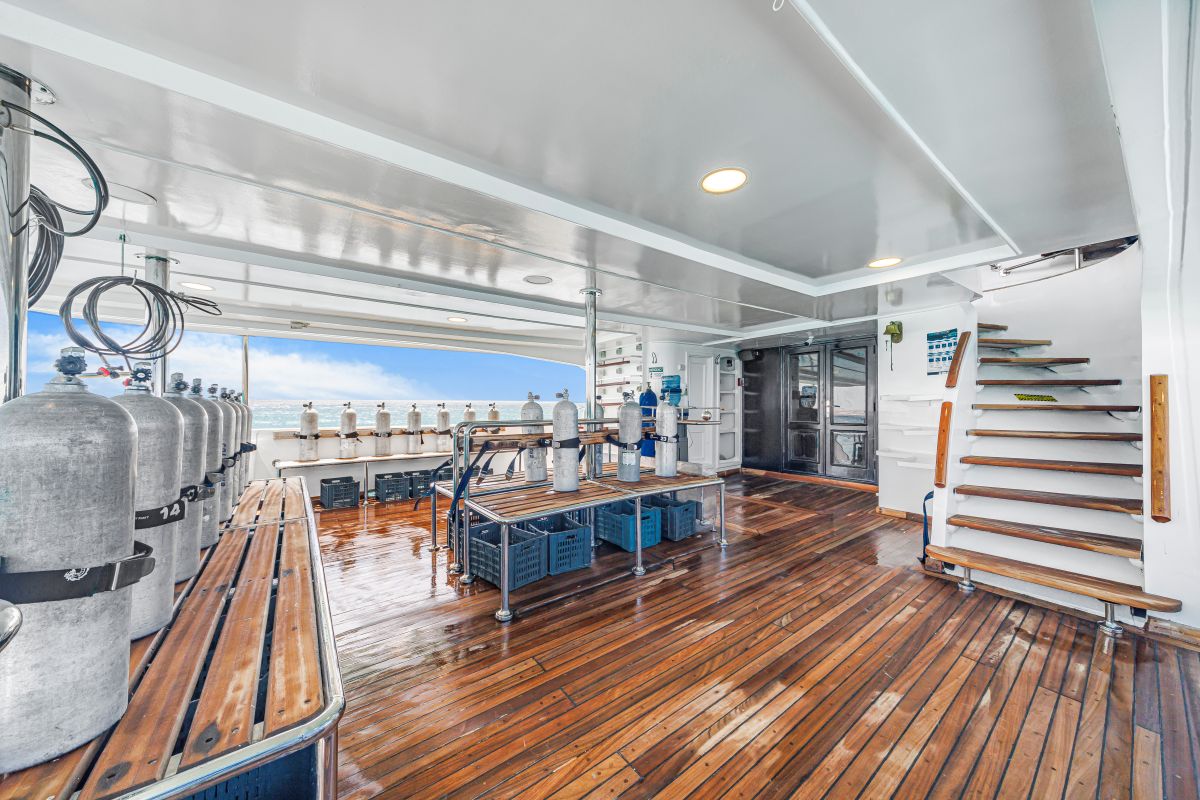 SS Contessa Red Sea -Luxury Liveaboard Dive Deck