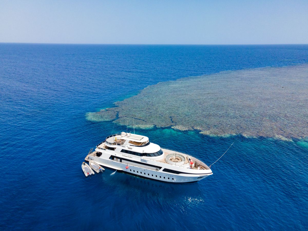 sea serpent excellence red sea luxury liveaboard
