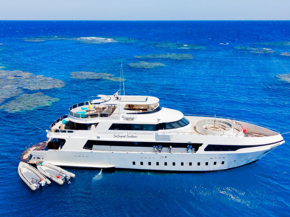 sea serpent excellence red sea luxury liveaboard