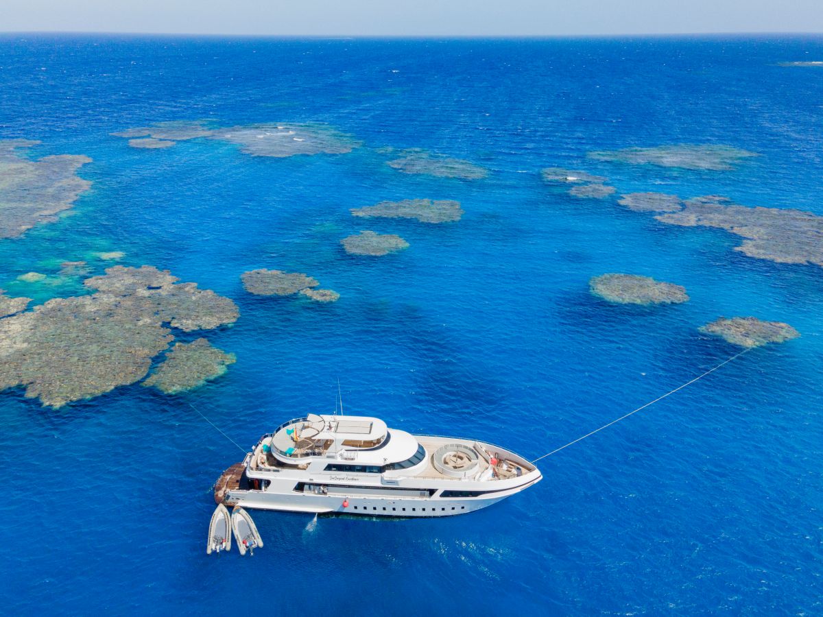 sea serpent excellence red sea luxury liveaboard