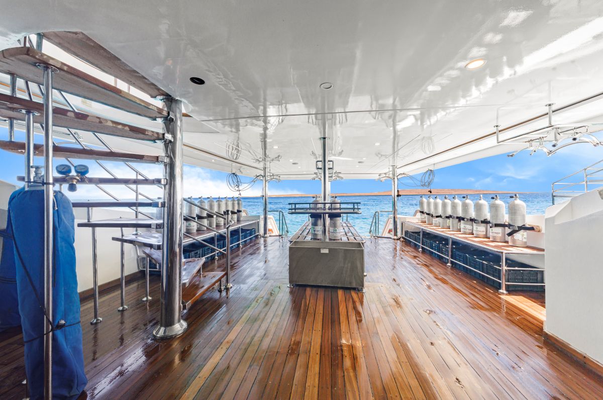 sea-serpent-glorious-miss-nouran-redsea-dive-deck