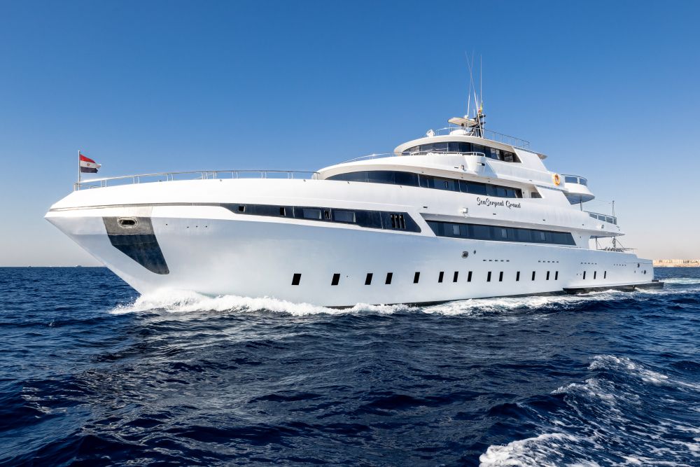 grand sea serpent red sea