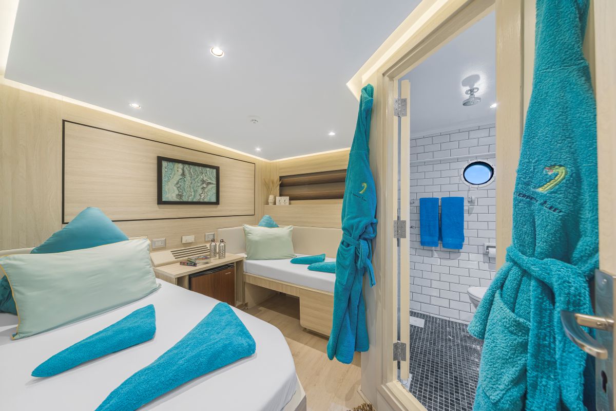 sea serpent red sea liveaboard twin cabin