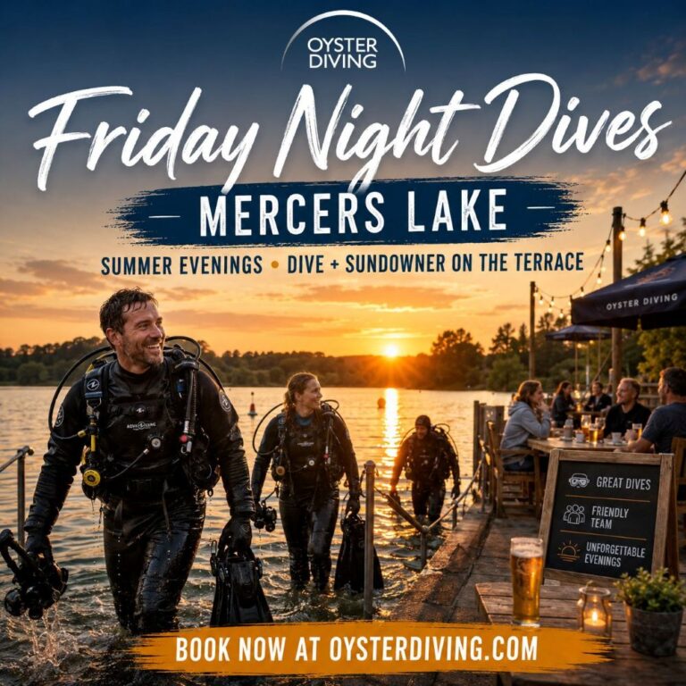 night dives near london