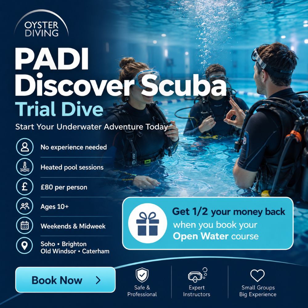 PADI Discover Scuba Diving Trial Dive