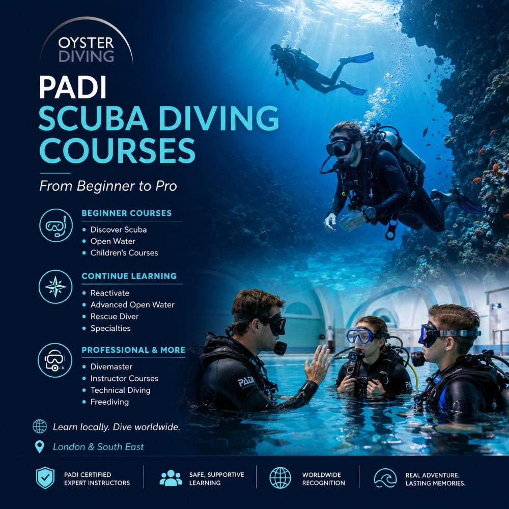 PADI Scuba Diving Courses