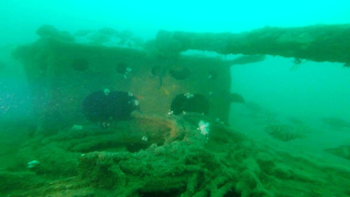 Portland M2 Wreck Weekend Oyster Diving