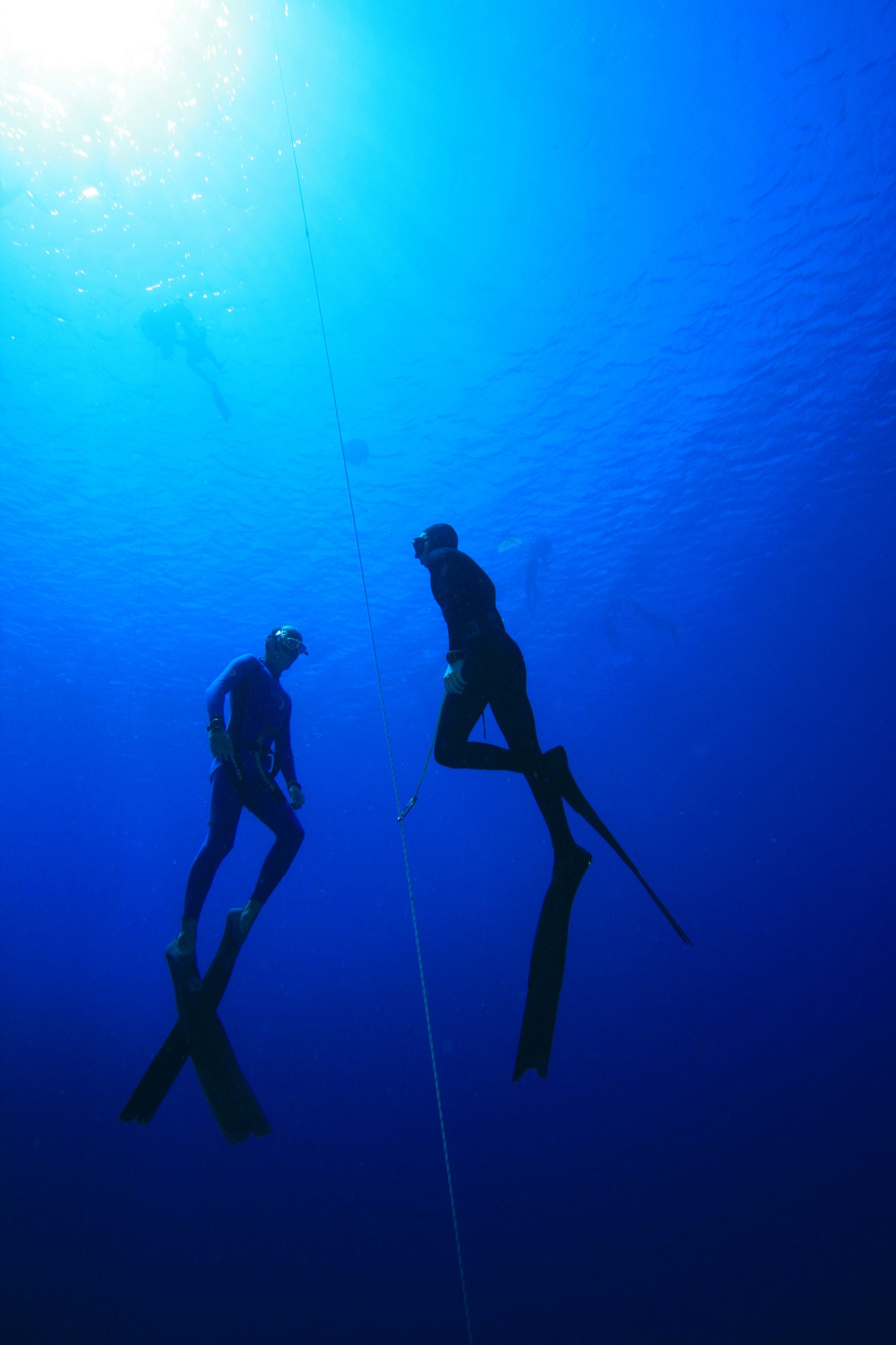 Line Guides & Pulleys – One Breath Diving