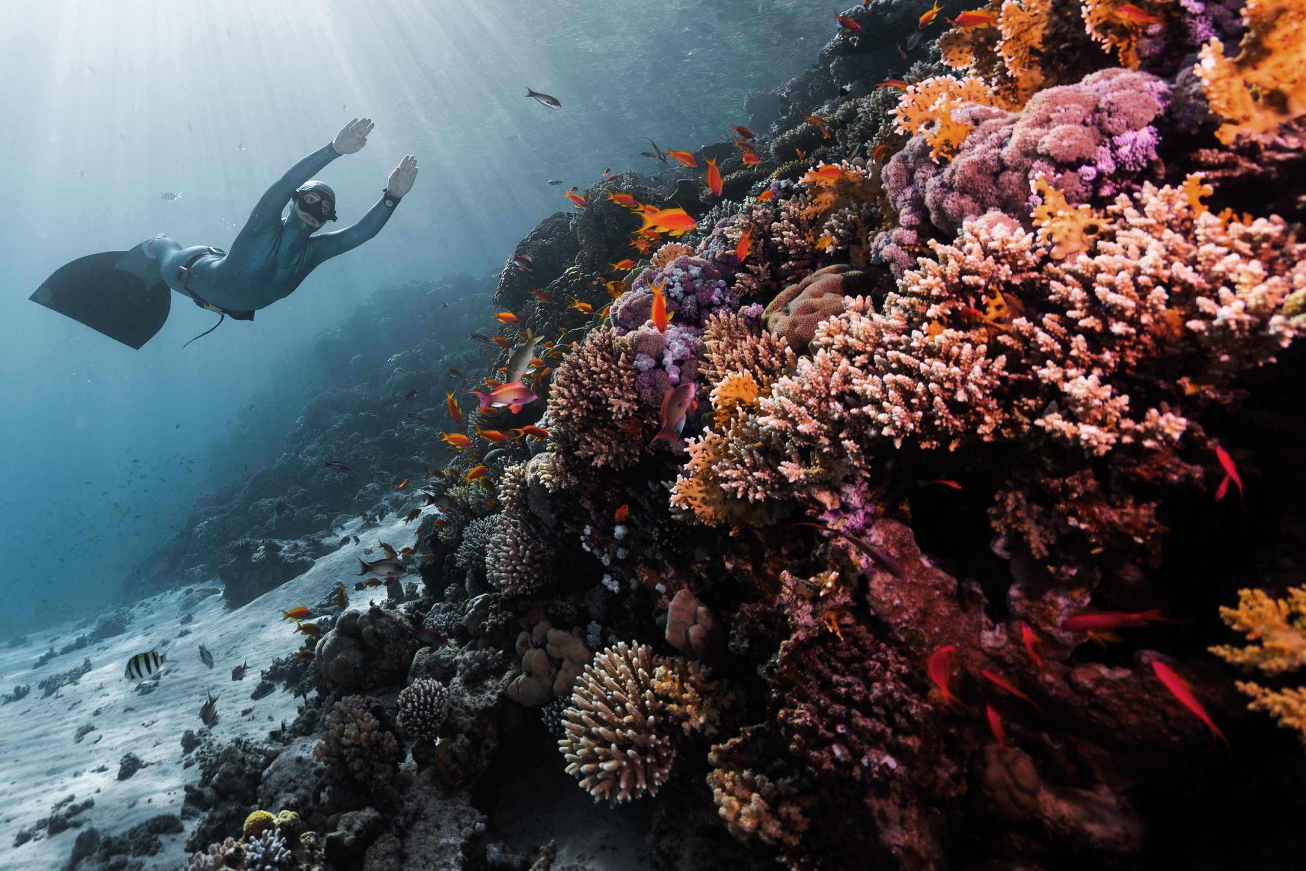 freediving-record-the-deepest-free-dive-in-the-world