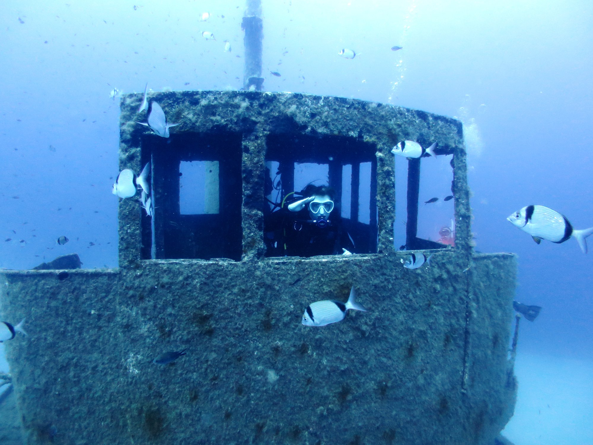 Oyster Diving Trips to Malta