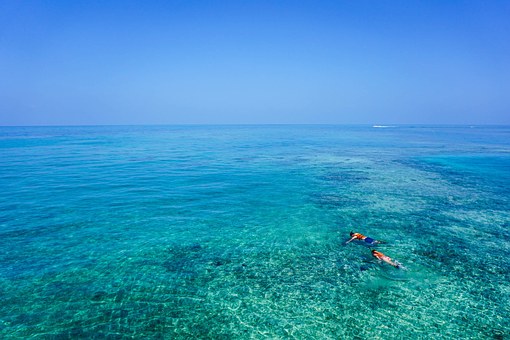 Snorkelling