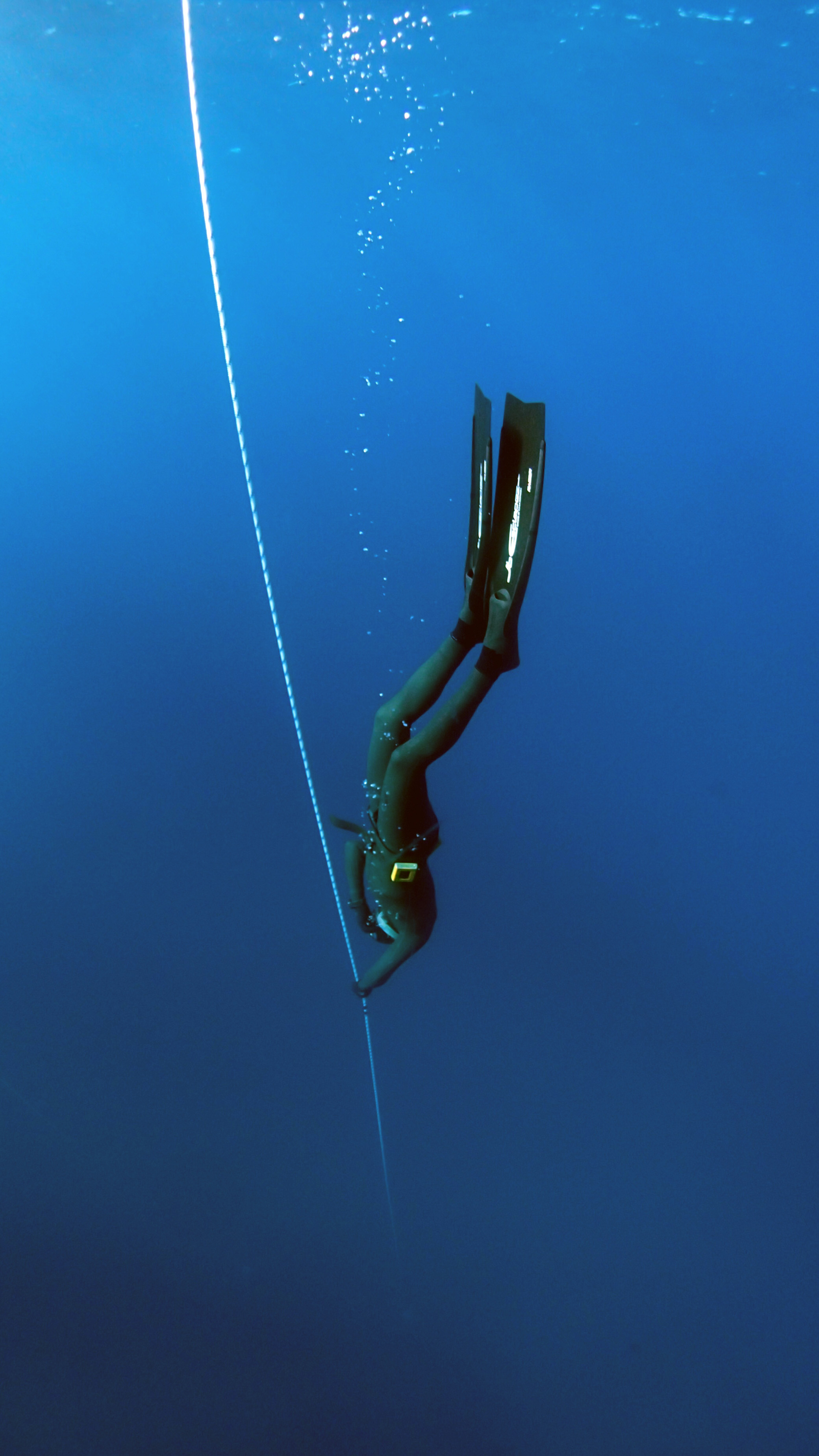 What is freediving?