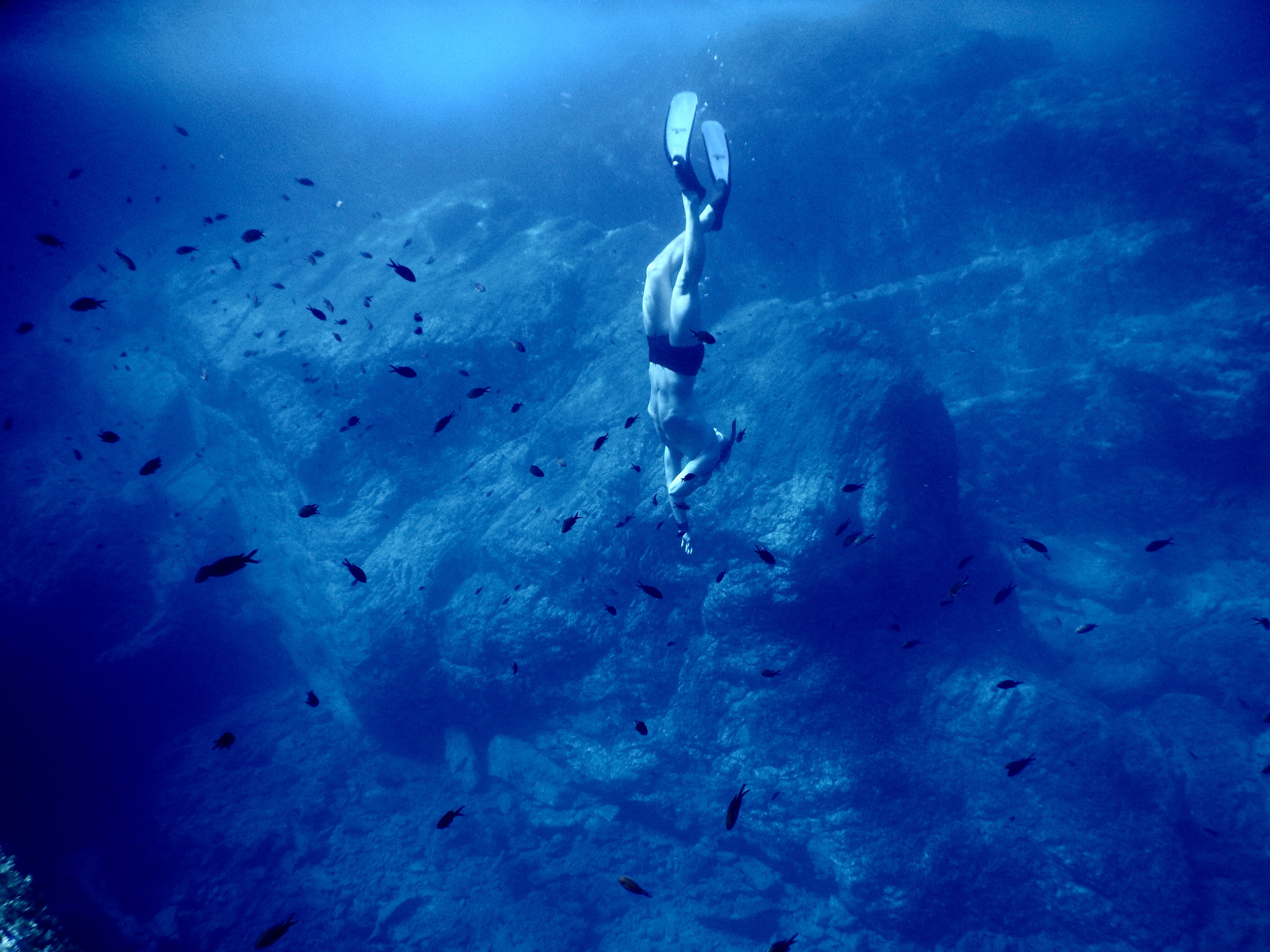 What is freediving?