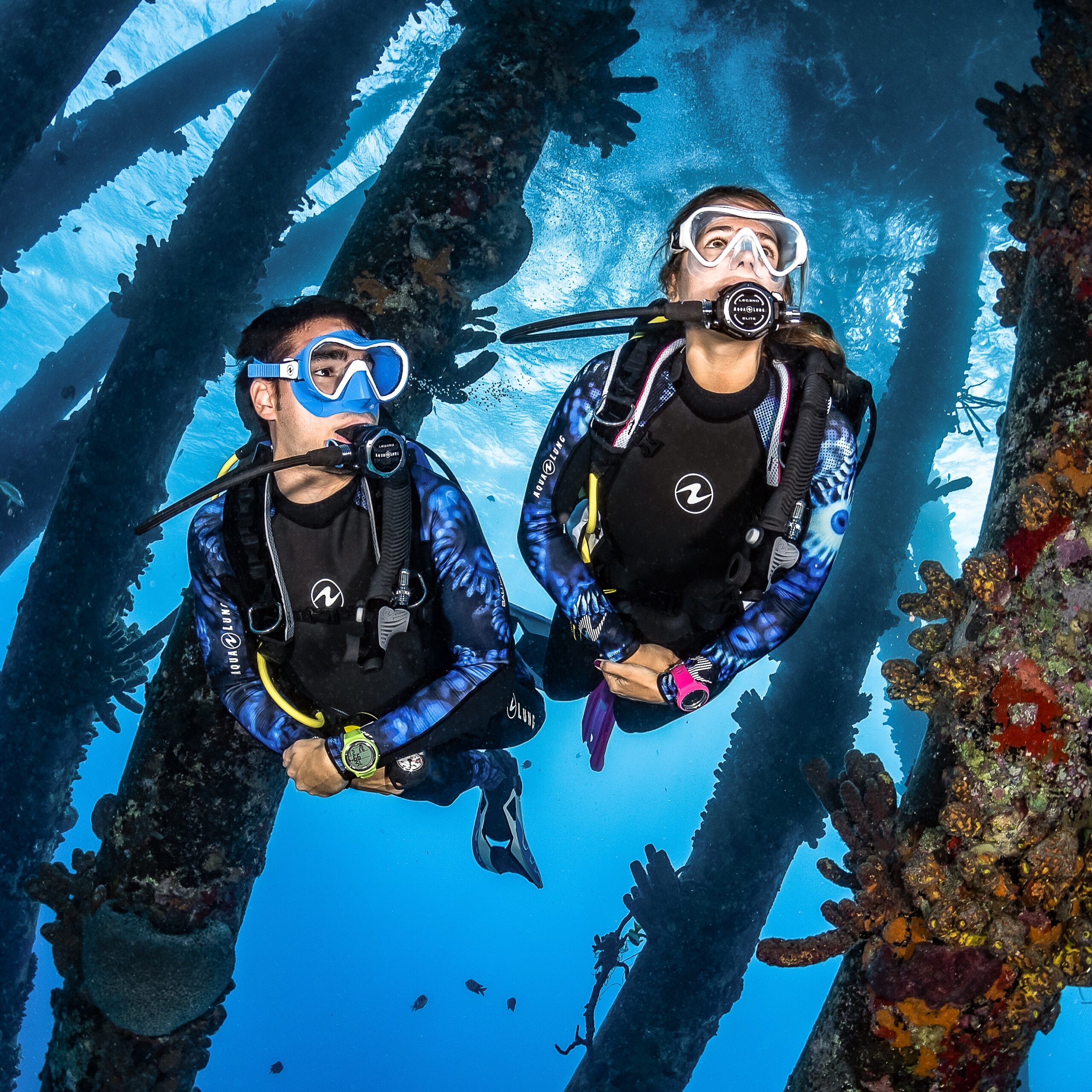 Travel the world as a PADI divemaster