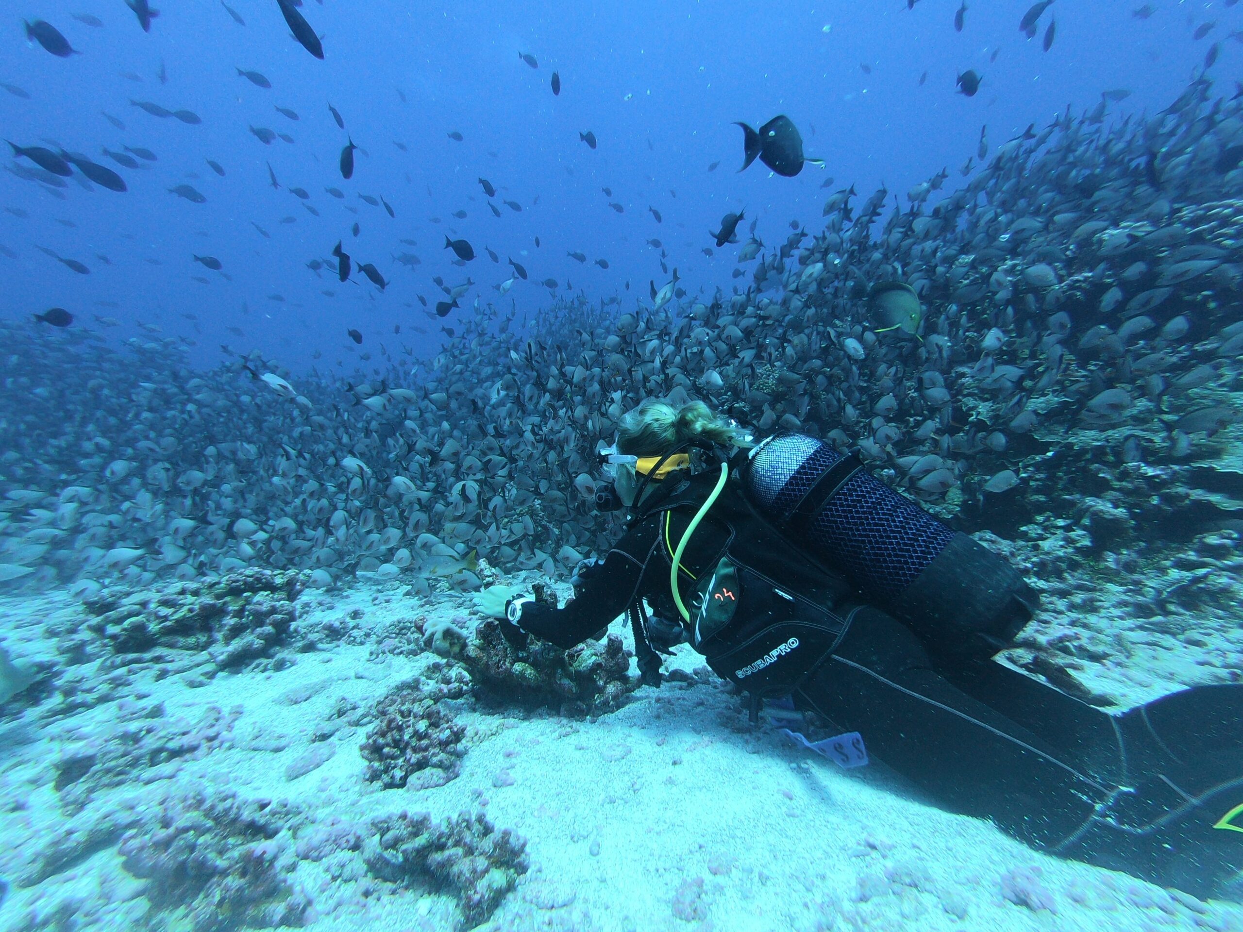 diving in croatia