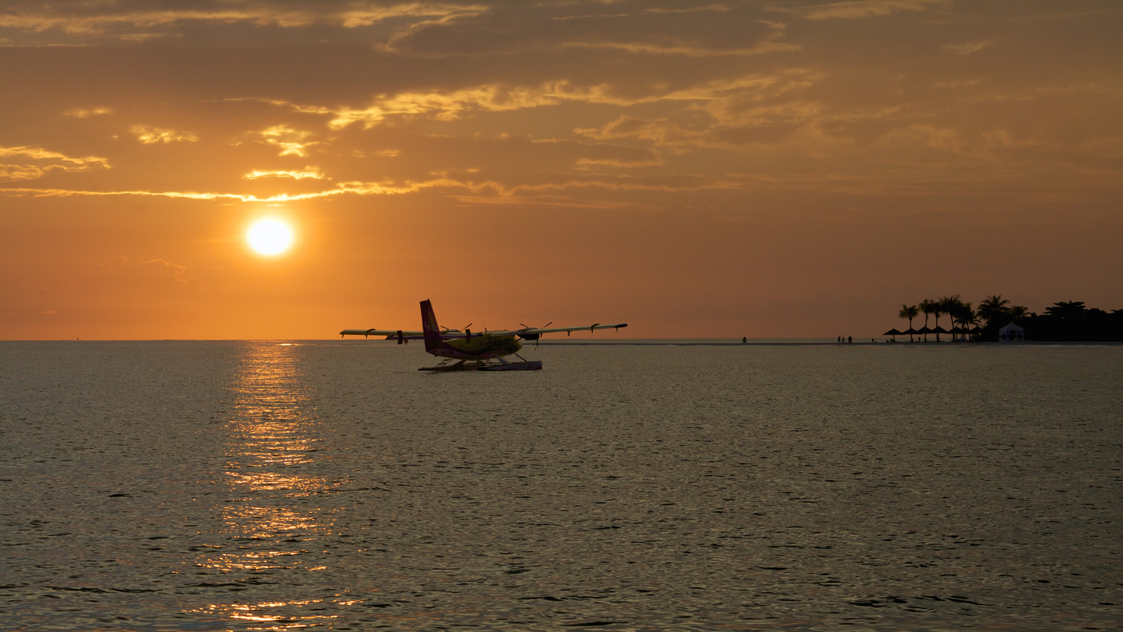 Seaplane floating above water