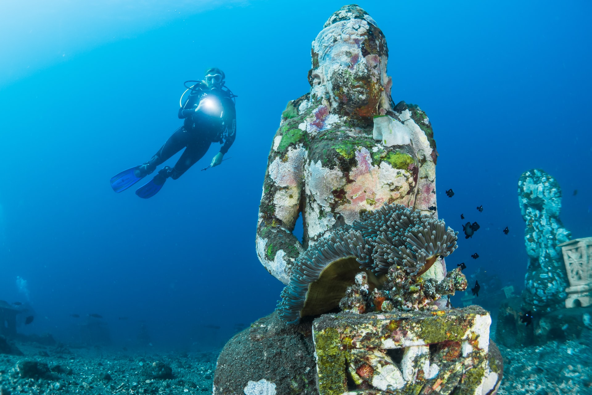 bali diving