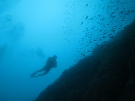 A scuba diver in Spanish waters